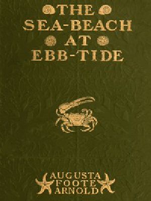 [Gutenberg 43946] • The Sea-beach at Ebb-tide / A Guide to the Study of the Seaweeds and the Lower Animal Life Found Between Tide-marks